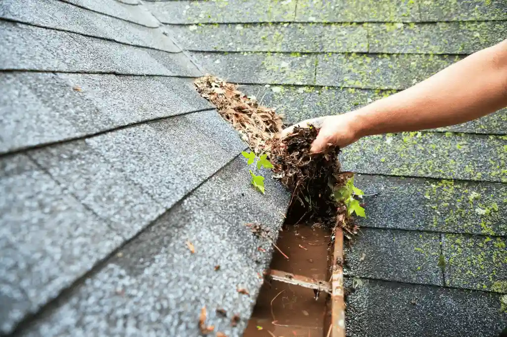 Gutter Cleaning