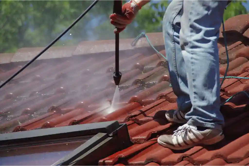 Roof Cleaning​